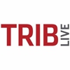 Trib Live 100x100
